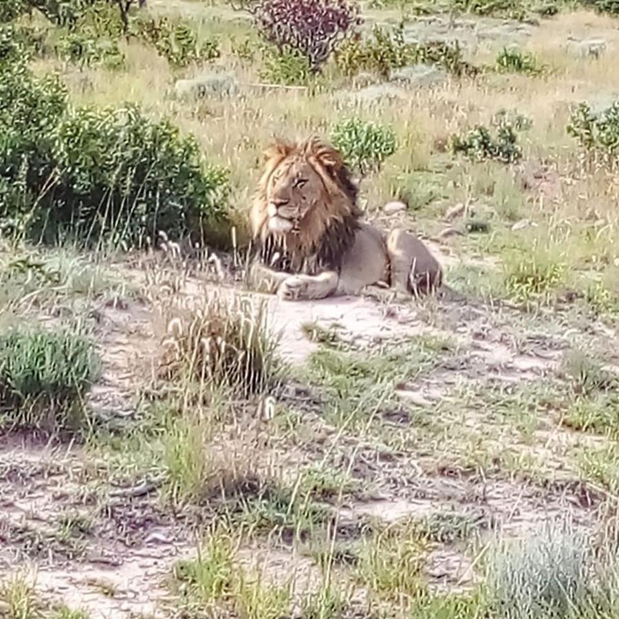 Griffons Bush Camp Villa Thabazimbi Exterior photo